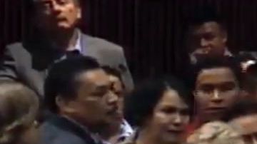 Diputada  Carmen Medel.