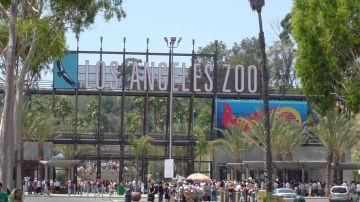 Evacuan zoo en LA por incendio.