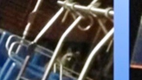 Un polizonte a bordo, muy sentado