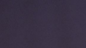 María Elena Salinas