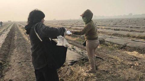 mautq-oman-masks-farm-workers-1