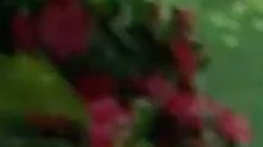 Pati Chapoy