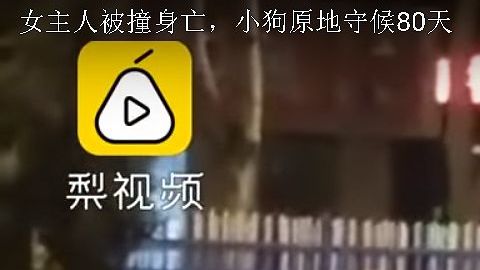 Xiongxiong ha permanecido allí desde el 21 de agosto.