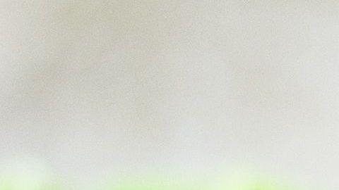 Elige una dieta basada en vegetales frescos y evita los alimentos procesados.