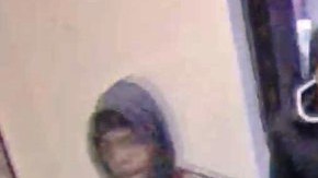 Imagen de los sospechosos