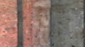 En el equipo de AMLO hay sólo dos jóvenes.