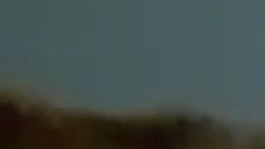 Este perrito fue abandonado en un contenedor de basura.