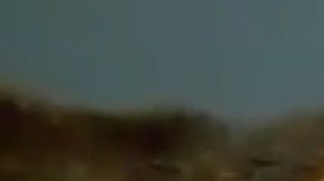 Este perrito fue abandonado en un contenedor de basura.