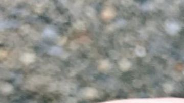 Una joya hecha a partir del cordón umbilical.