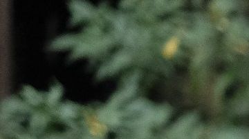 Sebastián Rulli protagoniza "El último dragón" / Foto: Televisa