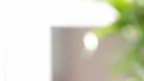 shutterstock_1070434448