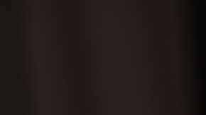 shutterstock_1122712238