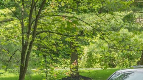 shutterstock_1132794356