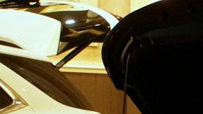 shutterstock_1202135938