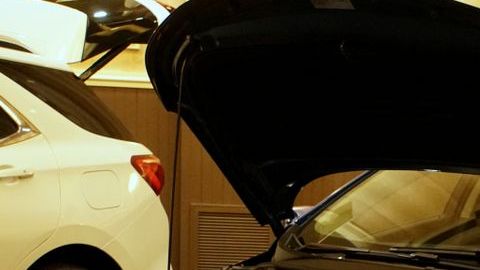 shutterstock_1202135938