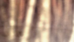 shutterstock_221634157