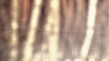 shutterstock_221634157