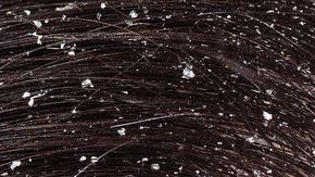 shutterstock_373934806