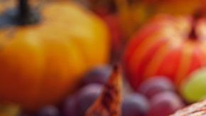 Con estos consejos evitarás la propagación de esta enfermedad.