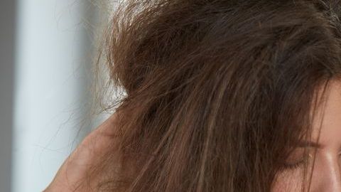 shutterstock_534972658