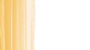 shutterstock_578131375