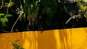 shutterstock_680180398