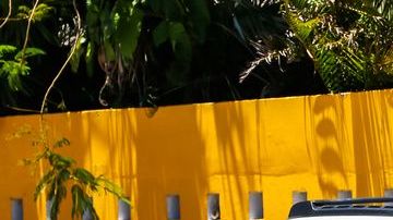 shutterstock_680180398