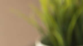 Facebook "no sale una de una para meterse en otra".