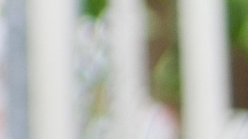 shutterstock_85378405