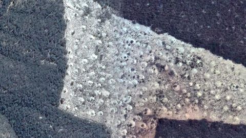 La tierra despejada dio a los investigadores una gran vista de los montículos.