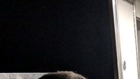 Los pasajeros al ser cambiados a otro tren