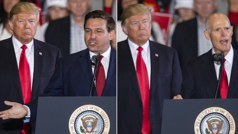 El presidente Trump apoyó a ambos triunfadores.