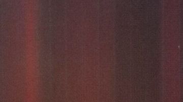 Rosa Gloria Chagoyán