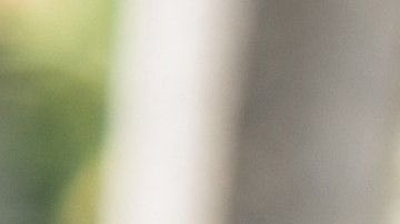 MIA17. MIAMI (FL, EE.UU.), 06/11/2018.- Grupos de personas asisten a votar hoy, martes 6 de noviembre de 2018, en un colegio electoral de Miami Beach, Florida (EE.UU.). Los ciudadanos de Florida votan hoy en las elecciones intermedias que más interés han despertado en las últimas décadas, marcadas por una alta participación en la votación adelantada y con la atención puesta en la gobernación, que puede volver a manos del Partido Demócrata por primera vez desde 1999. Alrededor de un 38 % de los más de 13,2 millones de ciudadanos registrados para votar en este estado ya han sufragado por correo o por adelantado, y los partidos mayoritarios esperan que la participación también sea récord en la jornada electoral de hoy. EFE/Giorgio Viera