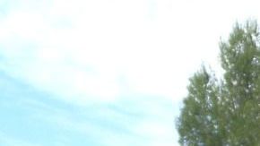 Los accidentes generalmente ocurren por descuidos.