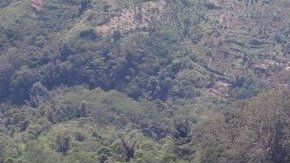 La cima de la pirámide.