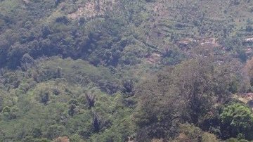 La cima de la pirámide.