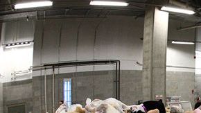 Miles de peluches en la pista de hielo para recaudar fondos para los niños necesitados.