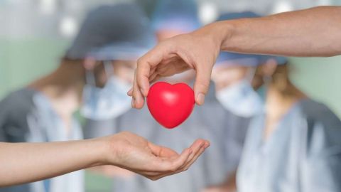 Hay muchas posibilidades de ayudar a otros a recuperarse de enfermedades o mejorar su bienestar y mejor calidad de vida.