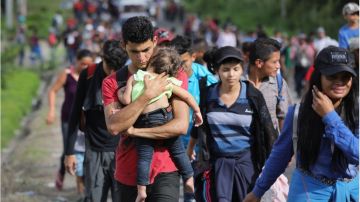 Numerosos niños y adultos inmigrantes llegan enfermos a los refugios