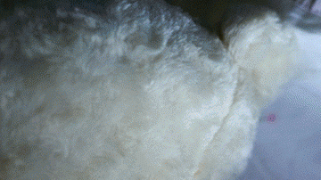 El reporte sugiere que el vínculo entre el sueño y el tiempo de exposición a una pantalla es "muy modesto".