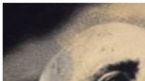 104421969_pelliceryamlo