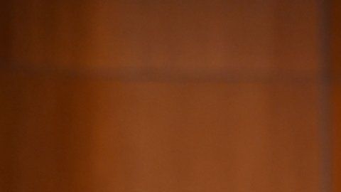 El profesor He Jiankui hizo la semana pasada el anuncio.