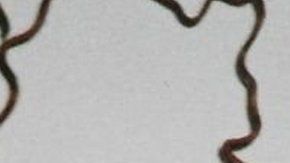 104586020_7b3a458c-fdf7-4b64-9549-95127a5af9c7