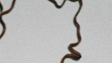 104586020_7b3a458c-fdf7-4b64-9549-95127a5af9c7