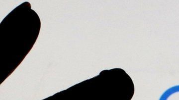 El error ocurrió durante una jornada de capacitación del departamento de publicidad del buscador.