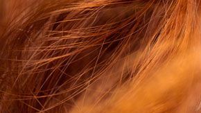 El cabello naranja se asociaba a un gen.
