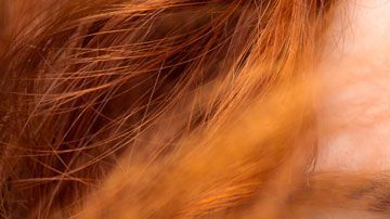 El cabello naranja se asociaba a un gen.