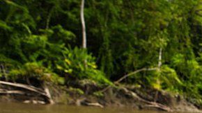 Migrantes de todo el mundo cruzan América Latina para ir a EEUU.