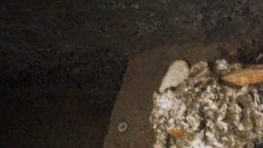 104935076_051313725-1